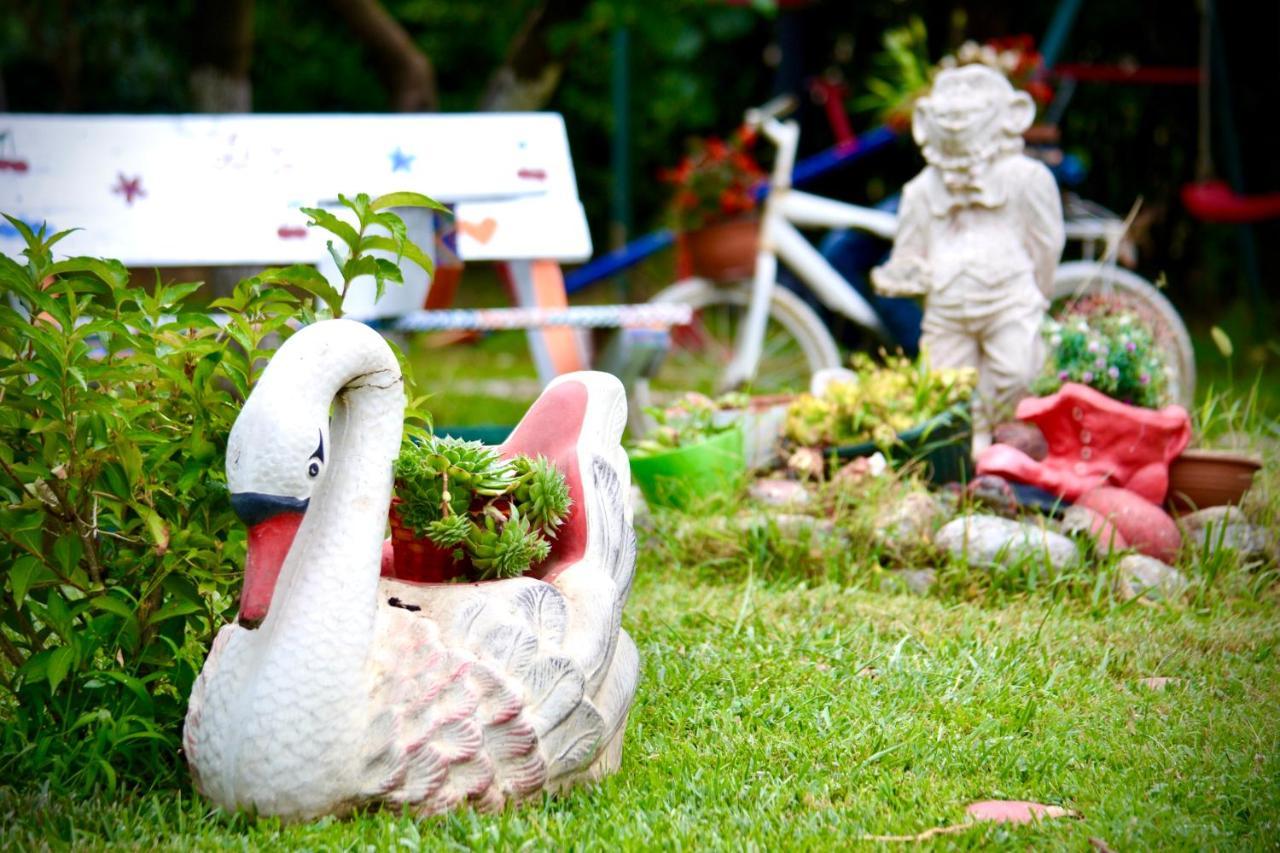 Lana Apartment Podgoriçe Dış mekan fotoğraf