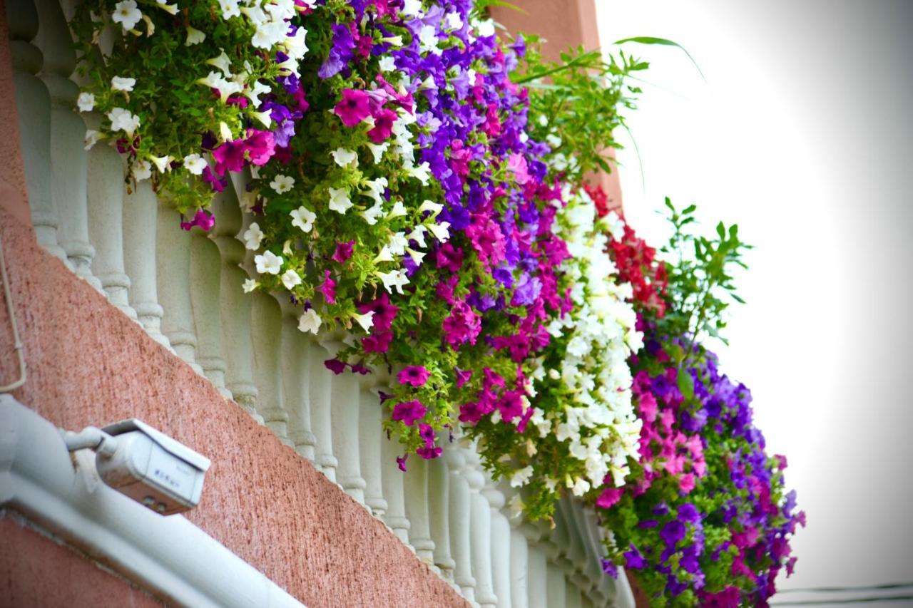 Lana Apartment Podgoriçe Dış mekan fotoğraf