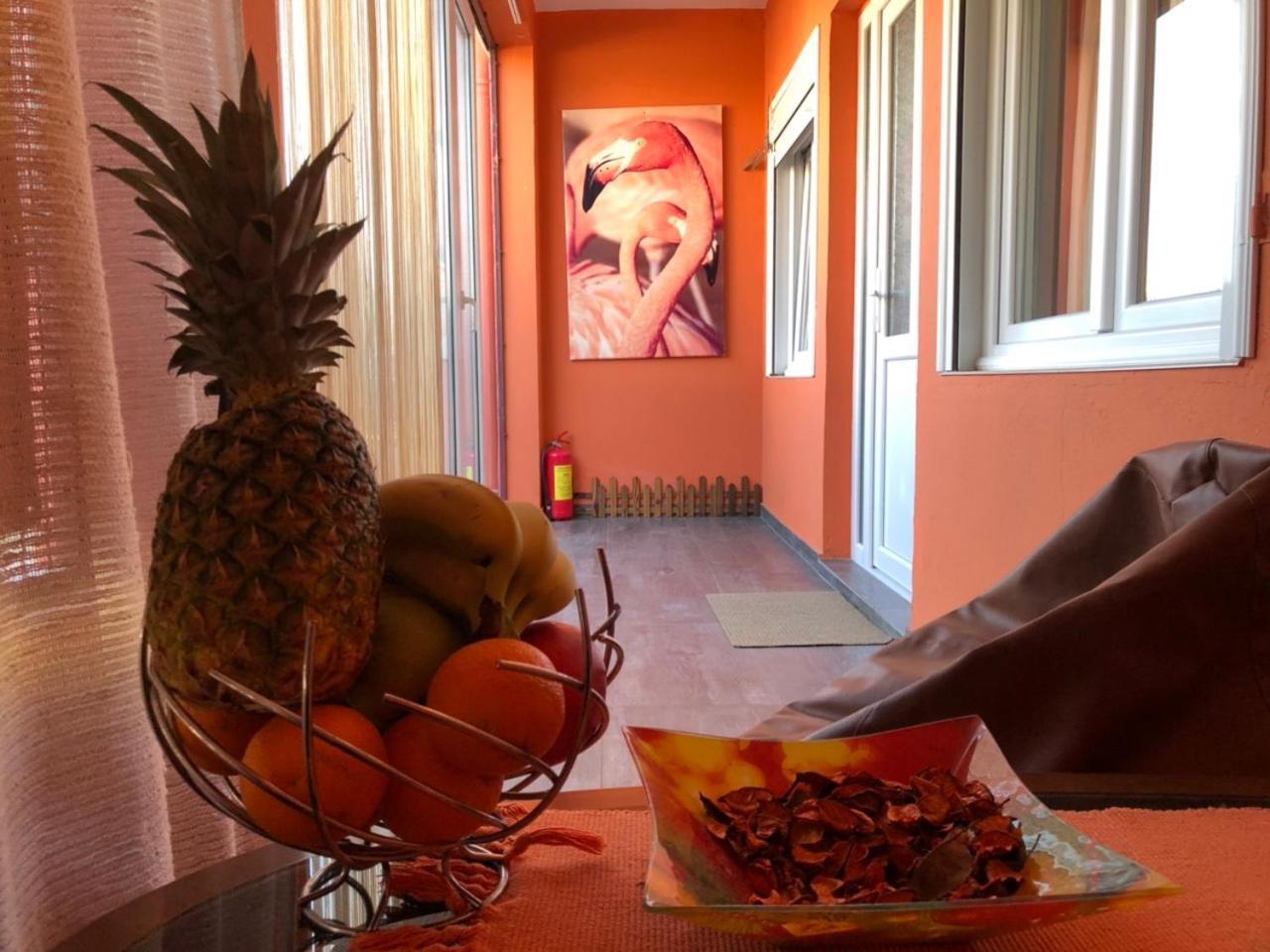 Lana Apartment Podgoriçe Dış mekan fotoğraf