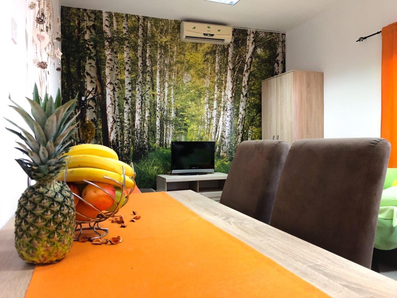 Lana Apartment Podgoriçe Dış mekan fotoğraf