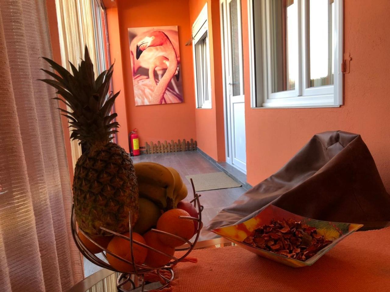 Lana Apartment Podgoriçe Dış mekan fotoğraf